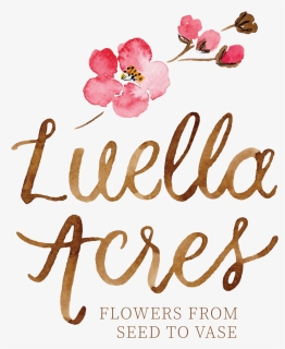 Luella Acres Logo Color 1800px Transparent - Calligraphy, HD Png Download, Free Download