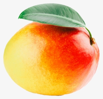 #mango #yellow #orange #fruit #png #niche #aesthetic - Food, Transparent Png, Free Download