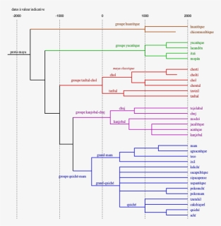 Tree Of Maya Languages - Tree Model Of Language, HD Png Download, Free Download