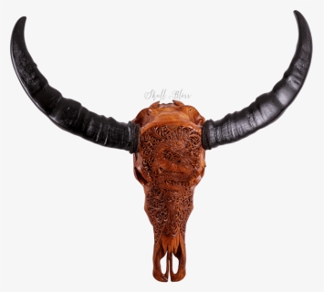 Carved Buffalo Skull - Water Buffalo, HD Png Download, Free Download
