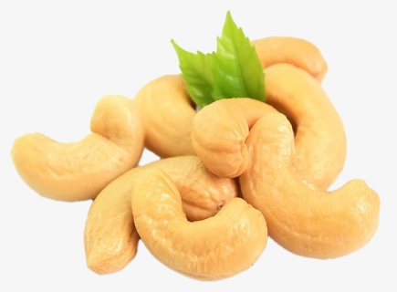 Cashew Png Image File - Most Dangerous Food In The World, Transparent Png, Free Download