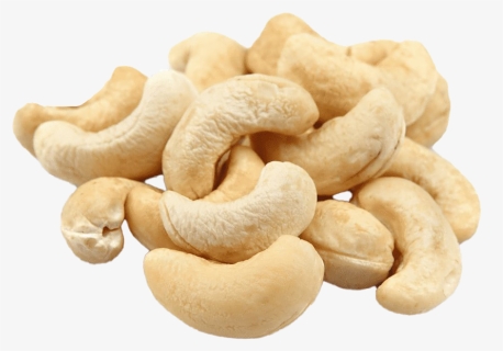 Cashew Png Free Images - Ginger In Telugu Name, Transparent Png, Free Download