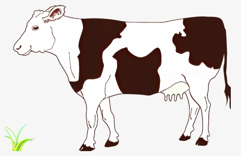 Clip Art Vector Graphics Ayrshire Cattle Drawing Beef - Clipart Cow, HD Png Download, Free Download