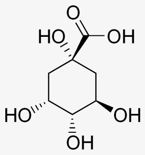 Quinic Acid, HD Png Download, Free Download