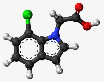 Seratonin Png, Transparent Png, Free Download