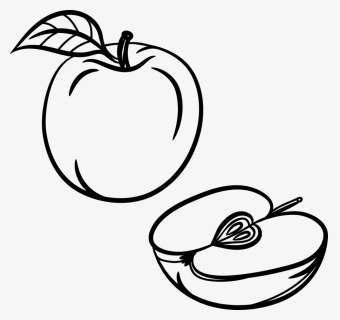 Cd Malic Acid - Line Art, HD Png Download, Free Download