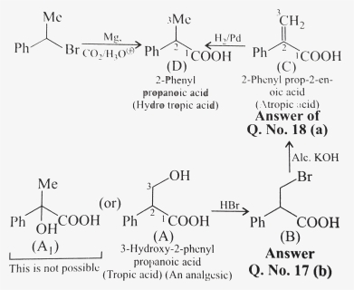 Diagram, HD Png Download, Free Download