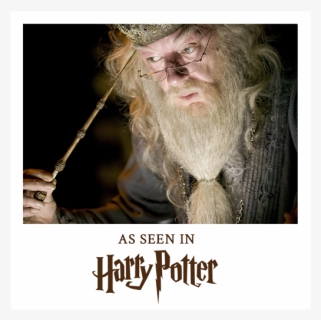 Dumbledore With Elder Wand, HD Png Download, Free Download