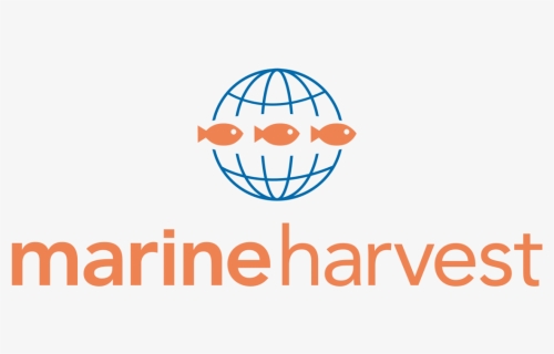 Marine Harvest Logo , Png Download - Marine Harvest Logo Png, Transparent Png, Free Download