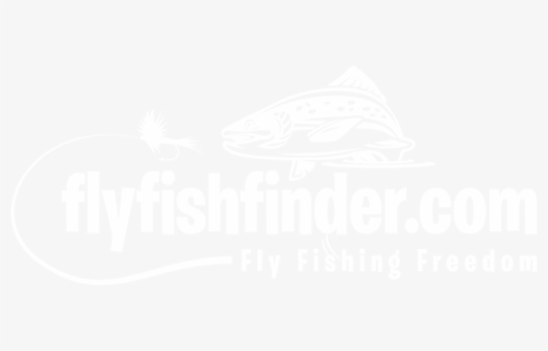 Trout, HD Png Download, Free Download