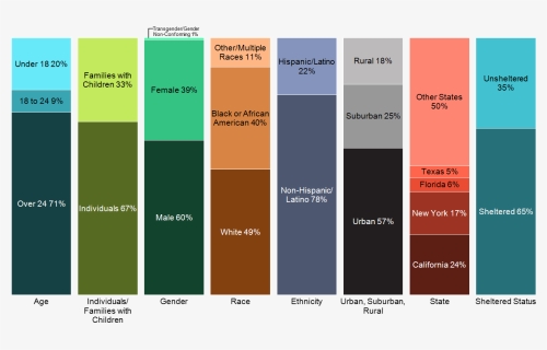 100% Stacked Bar Chart Of Homeless By Age, Gender, - Many Homeless In America 2019, HD Png Download, Free Download