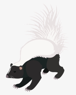 Hooded Skunk Clipart - Illustration, HD Png Download, Free Download