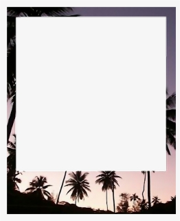 #polaroid #marco #playa #palmeras #party #tumblr ☁️ - Polaroid Fondo, HD Png Download, Free Download