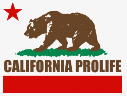 California Flag Clipart Png - California Prolife Council, Transparent Png, Free Download