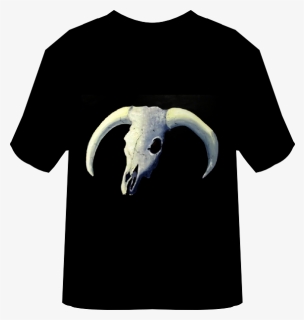 Transparent Goat Skull Png - Horn, Png Download, Free Download