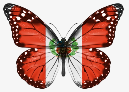 Monarch Butterfly Aesthetic, HD Png Download, Free Download