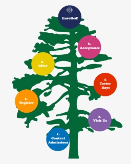 Admissions Tree - Christmas Tree, HD Png Download, Free Download