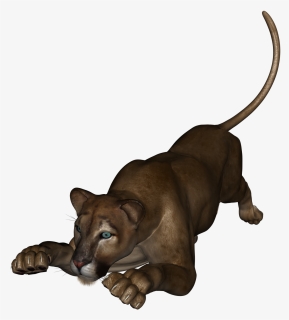 This Is The Lioness From Daz Studio - Companion Dog, HD Png Download, Free Download