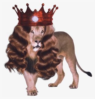 #sticker #lion #wig #crown #gem #jewl #lioness #england - Wild Animals And Their Homes, HD Png Download, Free Download