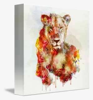 Art Lioness Lion Watercolor, HD Png Download, Free Download