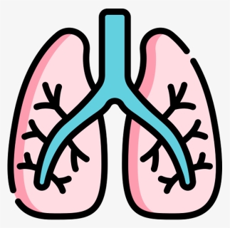 Lung Icon, HD Png Download, Free Download