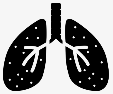 Lungs Png - Transparent Background White Lungs Png, Png Download, Free Download