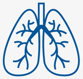 Lungs Clipart Copd, Lungs Copd Transparent Free For - Copd Clipart, HD Png Download, Free Download