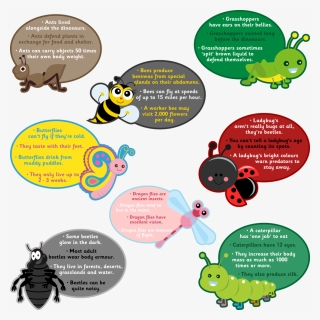 Bugs - Kennedy Space Center, HD Png Download, Free Download