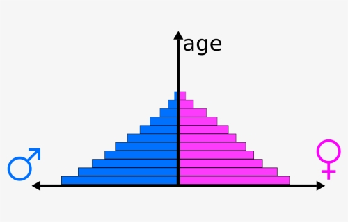 Population Pyramid, HD Png Download, Free Download