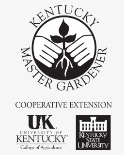 University Of Kentucky, HD Png Download, Free Download
