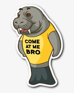 Manatee Come At Me Bro Commercial Novelty Sticker Car - Cartoon, HD Png Download, Free Download