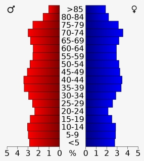 Honolulu Hawaii Population Pyramid, HD Png Download, Free Download