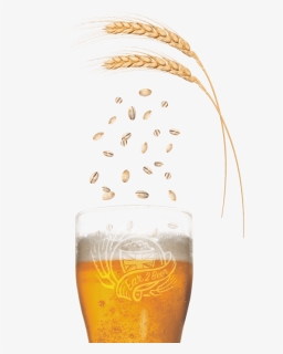 Calling All Malting Barley Growers Free Beer Enter - Lager, HD Png Download, Free Download