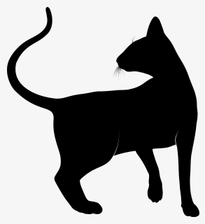 Animal Silhouette Cat, HD Png Download, Free Download