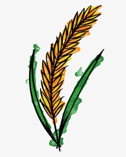 Watercolor Painting Wheat Clip Art - Png Wheat Watercolor Clipart, Transparent Png, Free Download
