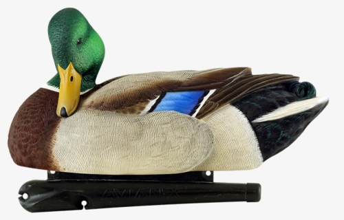 Transparent Duck Hunt Duck Png - Avian X Mallard Decoys, Png Download, Free Download