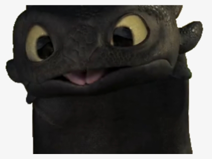 Transparent Toothless Png - Train Your Dragon Toothless, Png Download, Free Download