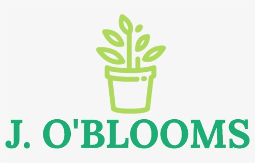 Thumbnail Joblooms Green Logo Transparent Background - Cactus, HD Png Download, Free Download