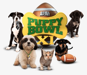 Puppy Bowl Sunday, HD Png Download, Free Download