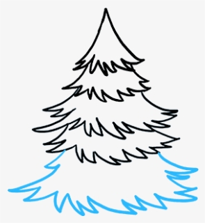 How To Draw Spruce, HD Png Download, Free Download