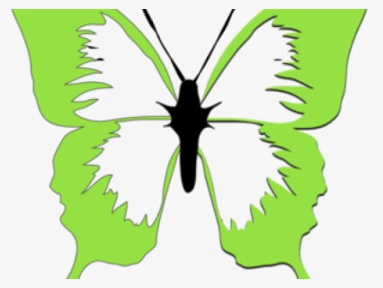 Transparent Green Butterfly Png - Light Green Butterfly Png, Png Download, Free Download