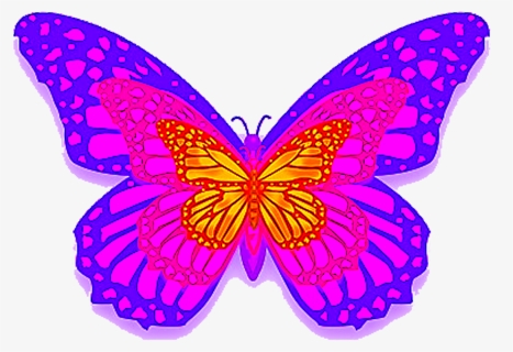 Purple Butterfly Png - Butterflies, Transparent Png, Free Download