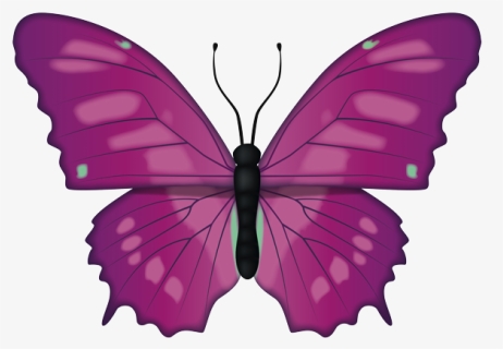 Butterfly With Spreaded Wings, HD Png Download, Free Download