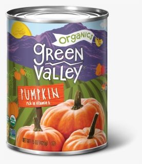 Transparent Pumpkin Vector Png - Green Beans Can Transparent Background, Png Download, Free Download