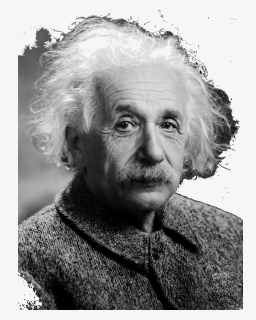 Picture Of Albert Einstein In - Albert Einstein Adult Hood, HD Png Download, Free Download