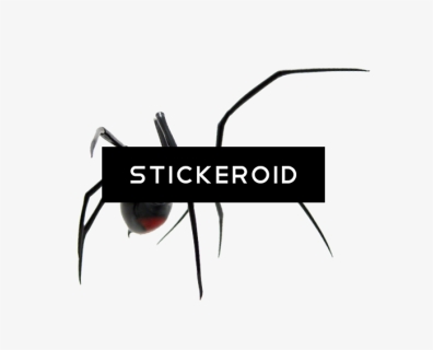 Black Widow , Png Download - Black Widow, Transparent Png, Free Download