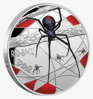 Itniu20021 1 - Redback Spider 5 Oz Silber 2020, HD Png Download, Free Download