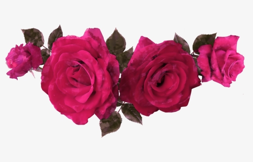 Free Watercolor Rose Flowers , Png Download - Floribunda, Transparent Png, Free Download