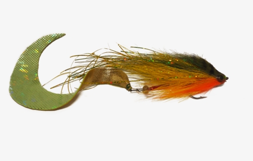 Flies June 2019 4[1], HD Png Download, Free Download