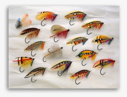 Classic Salmon Flies, HD Png Download, Free Download